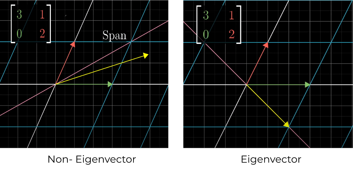 vector screech or compress
