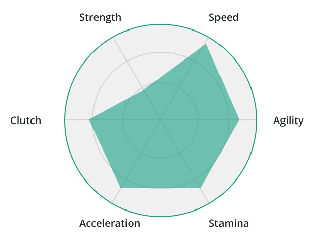 radar charts