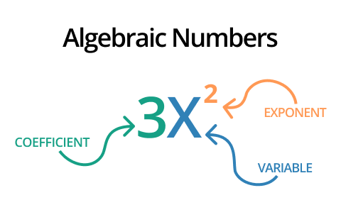 algebraic number