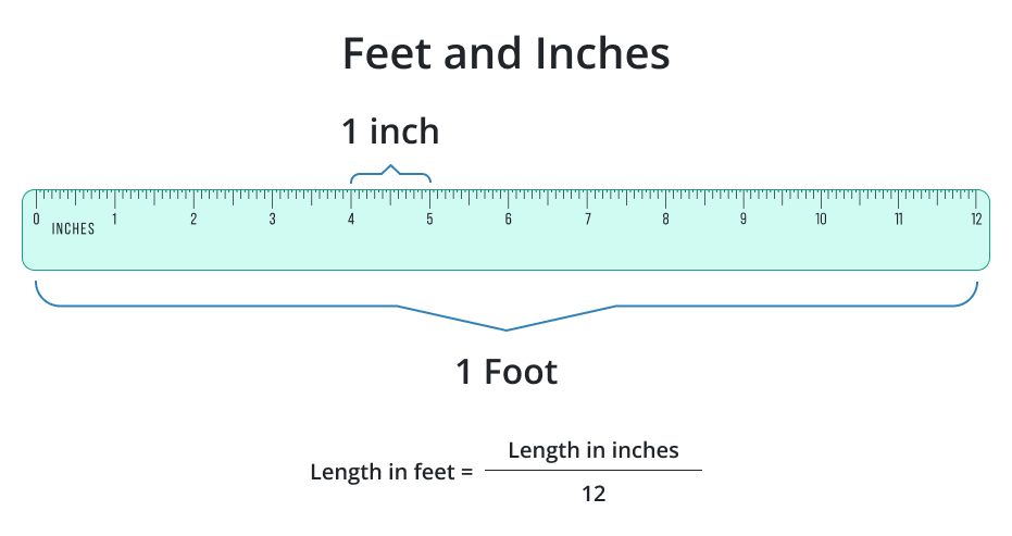 inches and feet